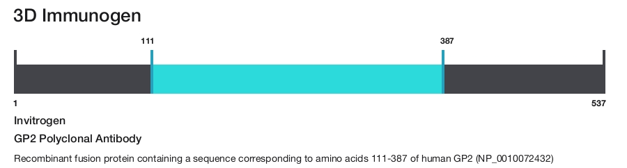 GP2 Polyclonal Antibody