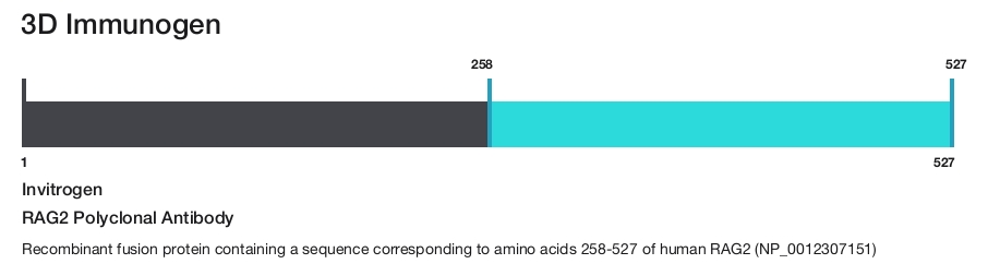 RAG2 Polyclonal Antibody