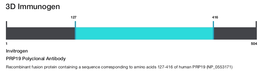 PRP19 Polyclonal Antibody