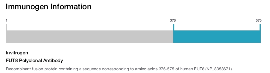 FUT8 Polyclonal Antibody