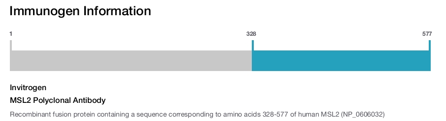 MSL2 Polyclonal Antibody