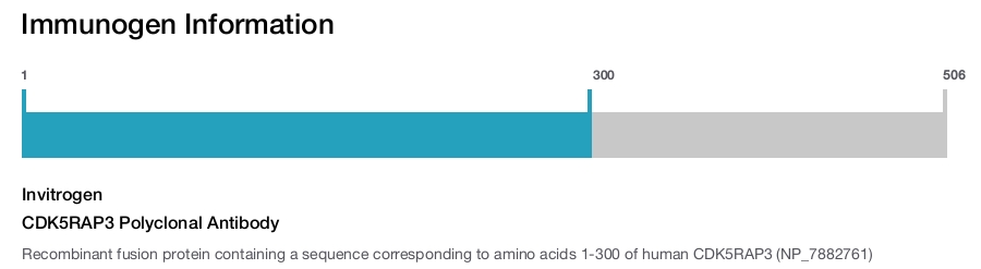 CDK5RAP3 Polyclonal Antibody