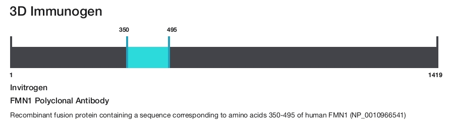 FMN1 Polyclonal Antibody
