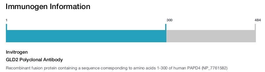 GLD2 Polyclonal Antibody