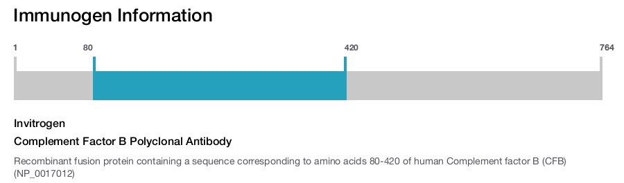 Complement Factor B Polyclonal Antibody