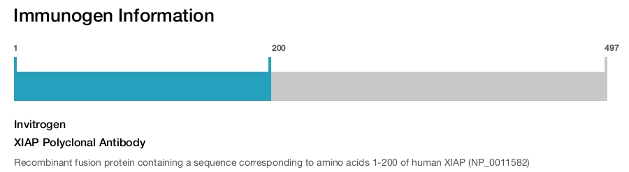 XIAP Polyclonal Antibody