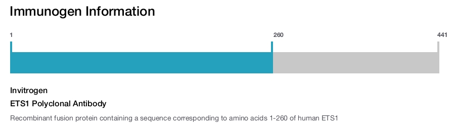 ETS1 Polyclonal Antibody