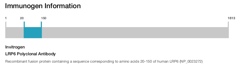 LRP6 Polyclonal Antibody
