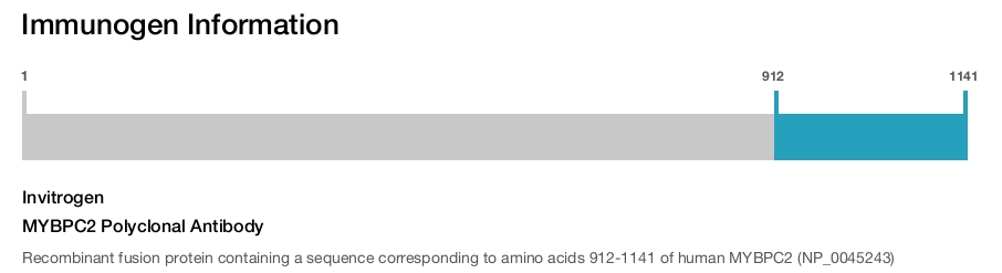 MYBPC2 Polyclonal Antibody