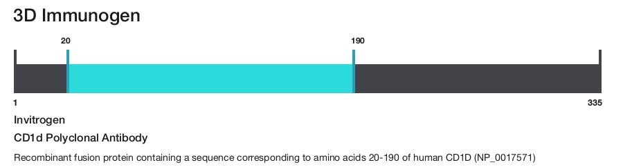 CD1d Polyclonal Antibody