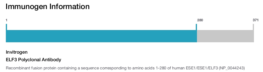 ELF3 Polyclonal Antibody