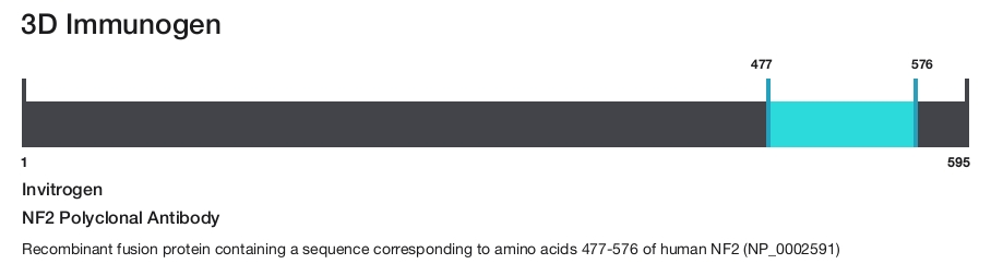 NF2 Polyclonal Antibody
