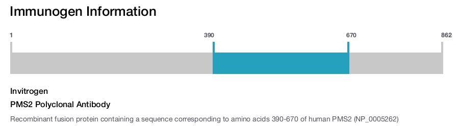PMS2 Polyclonal Antibody