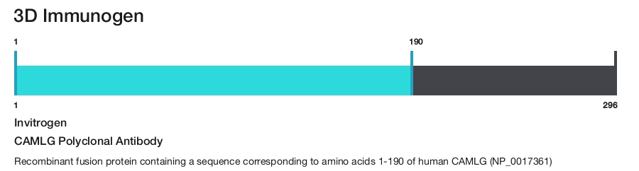 CAMLG Polyclonal Antibody