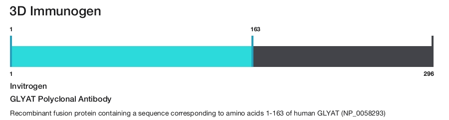 GLYAT Polyclonal Antibody