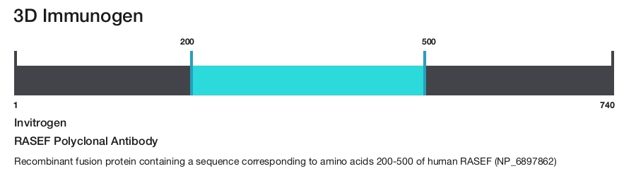RASEF Polyclonal Antibody
