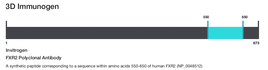 FXR2 Polyclonal Antibody