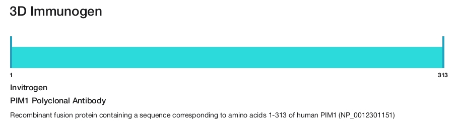 PIM1 Polyclonal Antibody
