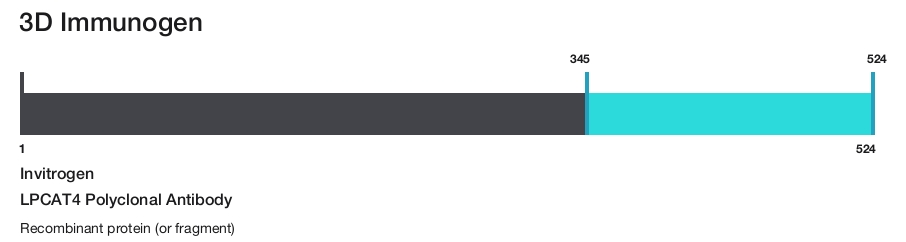 LPCAT4 Polyclonal Antibody