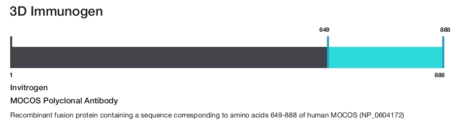 MOCOS Polyclonal Antibody