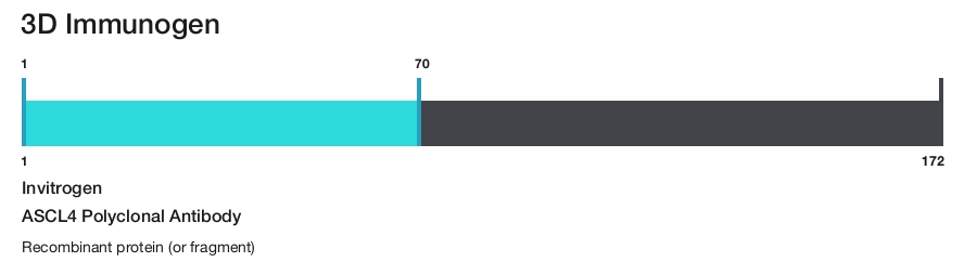 ASCL4 Polyclonal Antibody