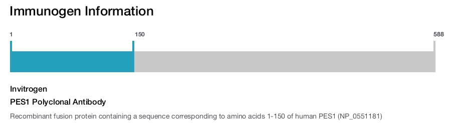 PES1 Polyclonal Antibody