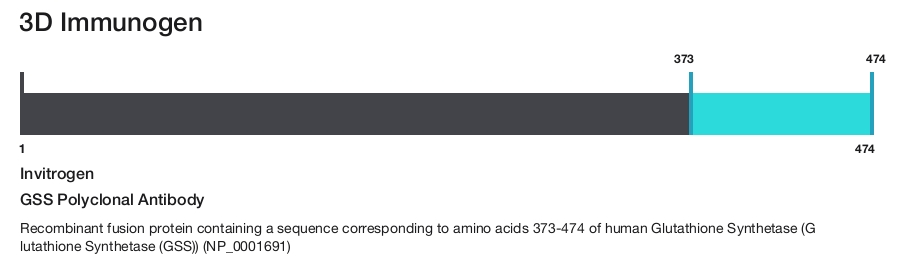 GSS Polyclonal Antibody