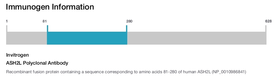 ASH2L Polyclonal Antibody