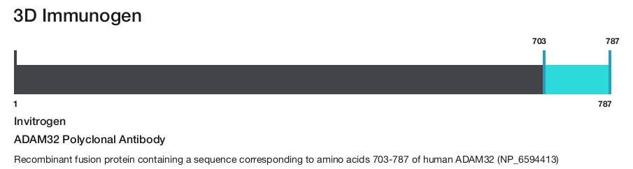 ADAM32 Polyclonal Antibody