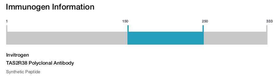 TAS2R38 Polyclonal Antibody