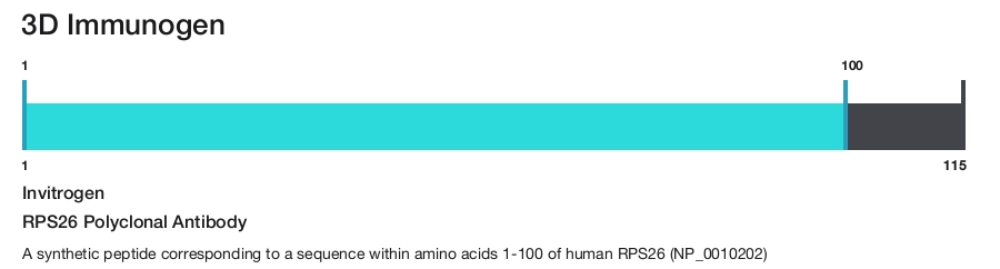 RPS26 Polyclonal Antibody
