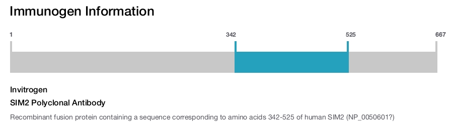 SIM2 Polyclonal Antibody