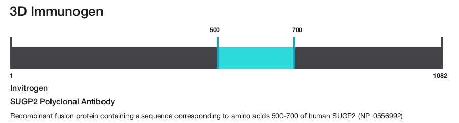 SUGP2 Polyclonal Antibody
