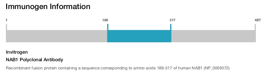 NAB1 Polyclonal Antibody