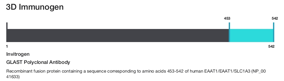 GLAST Polyclonal Antibody