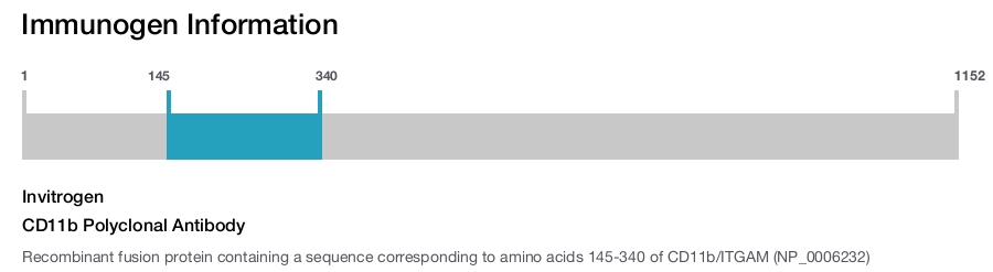 CD11b Polyclonal Antibody