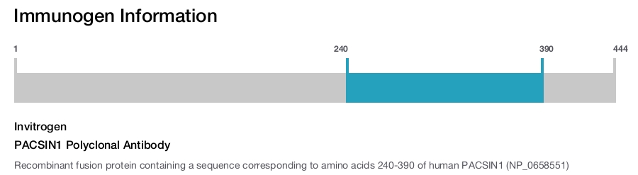 PACSIN1 Polyclonal Antibody