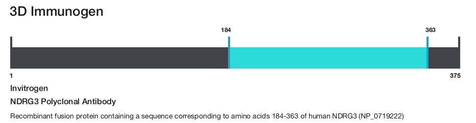 NDRG3 Polyclonal Antibody
