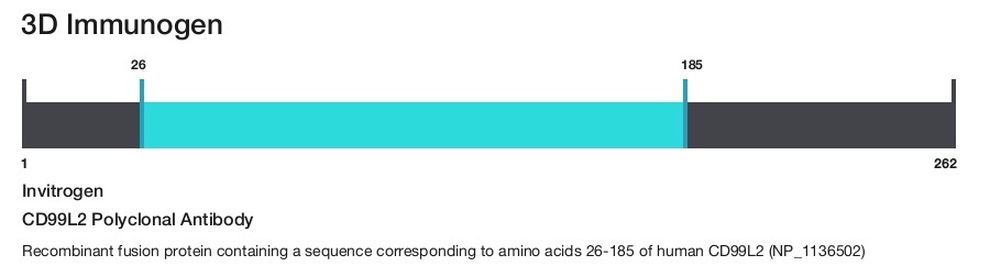 CD99L2 Polyclonal Antibody