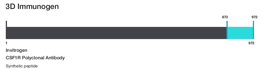 CSF1R Polyclonal Antibody