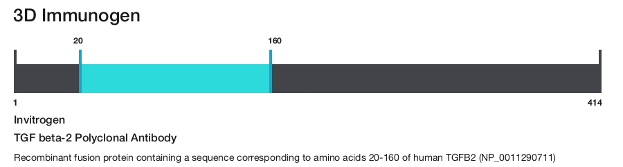 TGF beta-2 Polyclonal Antibody