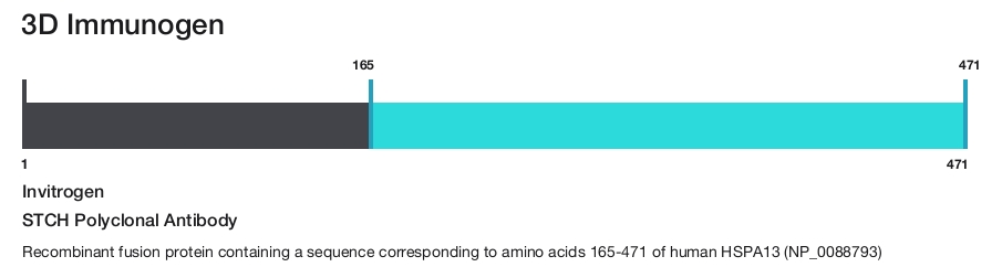 STCH Polyclonal Antibody