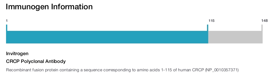 CRCP Polyclonal Antibody