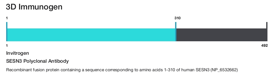 SESN3 Polyclonal Antibody