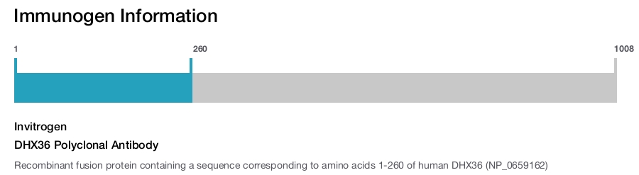 DHX36 Polyclonal Antibody