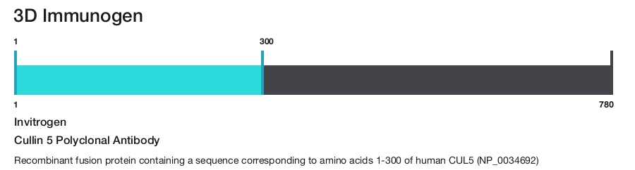 Cullin 5 Polyclonal Antibody