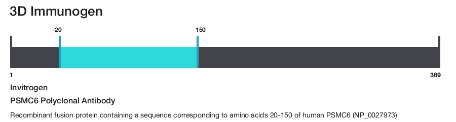 PSMC6 Polyclonal Antibody