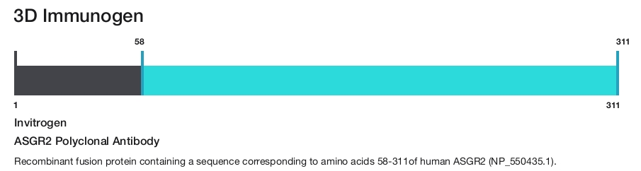 ASGR2 Polyclonal Antibody