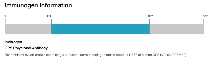 GP2 Polyclonal Antibody