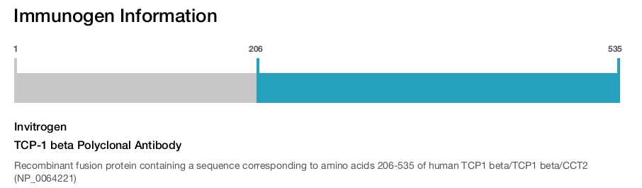 TCP-1 beta Polyclonal Antibody